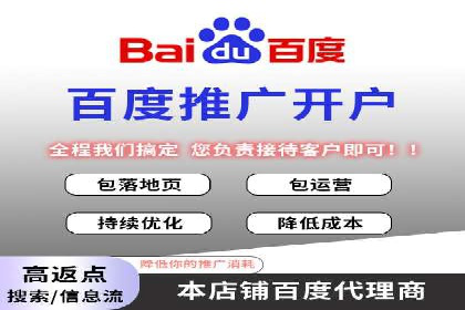 SEM推广策略：成功案例解析